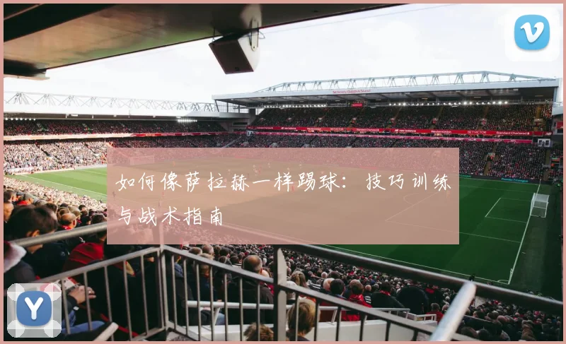 篮球明星如何改变篮球运动的发展方向？